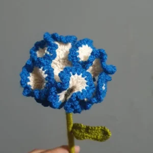 Blue Carnation Flower