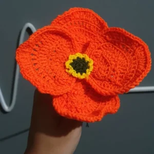 Poppy flower