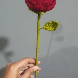 Red rose Flower