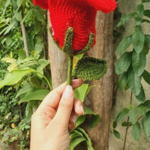 Wine glass rose Flower