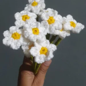 daisy flowers