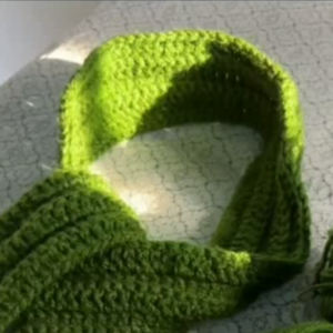 Green Crochet Scarf